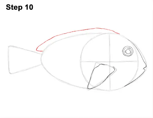 Draw Regal Blue Tang Fish 10