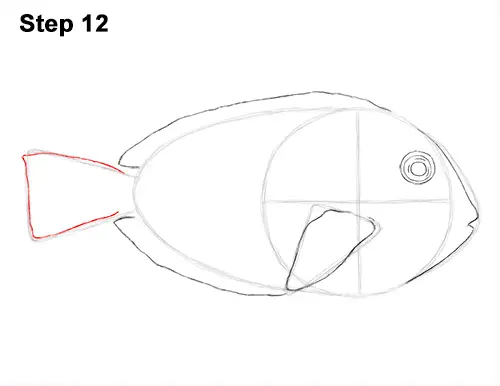 Draw Regal Blue Tang Fish 12