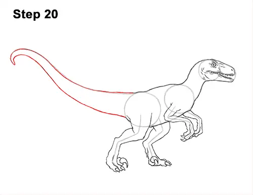 How To Draw Blue Velociraptor Jurassic Wolrd Video And Step By Step Pictures 