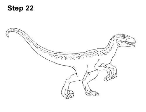 How to Draw Blue Velociraptor (Jurassic Wolrd) VIDEO & Step-by-Step