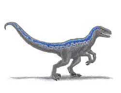How to Draw a Blue Velociraptor Jurassic World