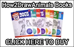 How 2 Draw Animals