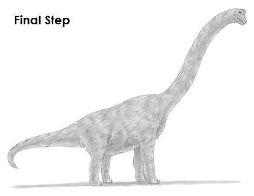 Draw Brachiosaurus