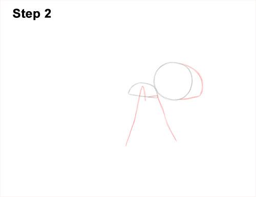 How to Draw a Brown Recluse 2