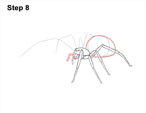 How to Draw a Brown Recluse 8