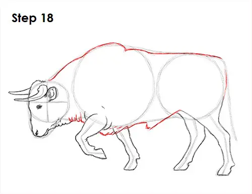 How to Draw a Bull