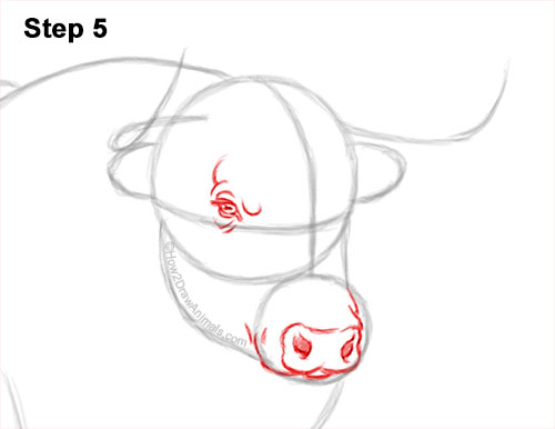 How to Draw a Bull Charging Forward 5