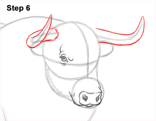 How to Draw a Bull Charging Forward 6