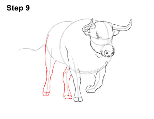 How to Draw a Bull Charging Forward 9