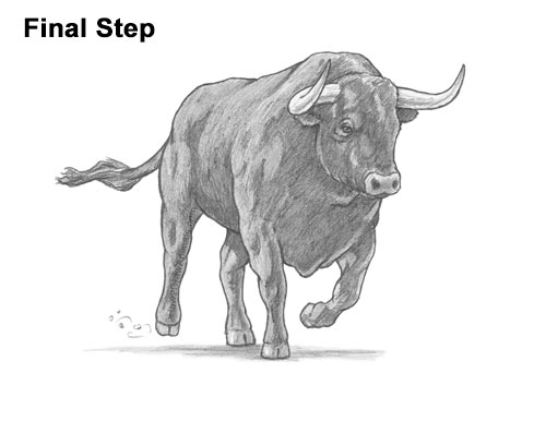 How to Draw a Bull Charging Forward