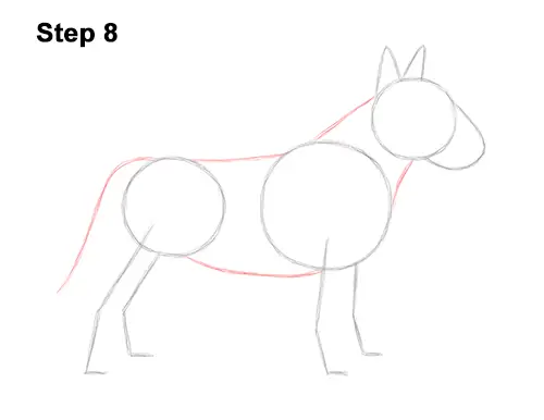 How to Draw a Bull Terrier Dog Puppy Side View 8