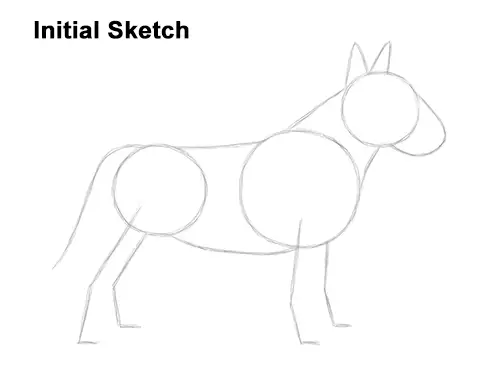 How to Draw a Bull Terrier Dog Puppy Side View Guide Lines