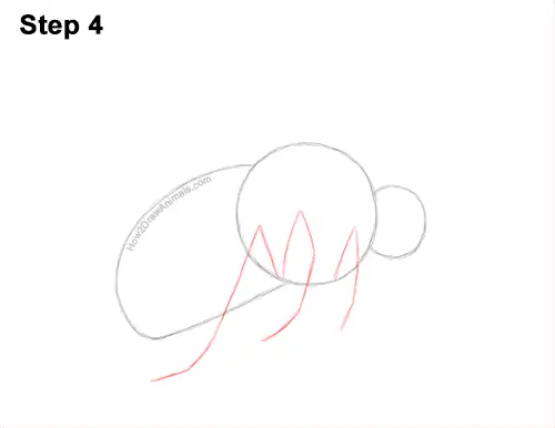 How to Draw a Bumblebee Bee Flying 4