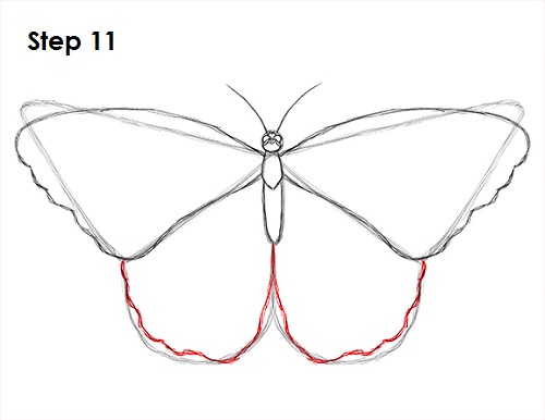 Draw Butterfly 11