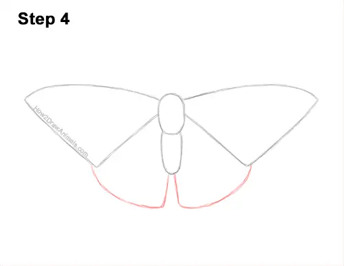 How to Draw a Painted Lady Butterfly Wings 4