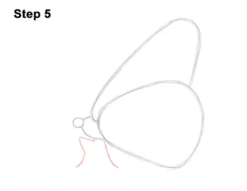Luthfiannisahay How To Draw Butterfly With Letter Y Draw the body and head of the butterfly in the center of the vertical line. luthfiannisahay blogger