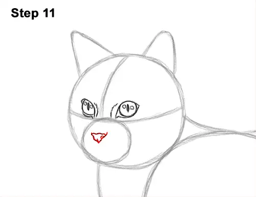 How to Draw a Calico Kitten Cat Orange Black 11