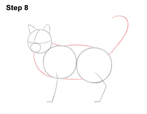 How to Draw a Calico Kitten Cat Orange Black 8