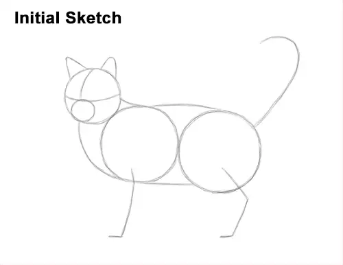How to Draw a Calico Kitten Cat Orange Black Guides Lines