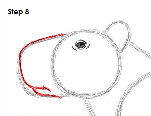 Draw Capybara 8