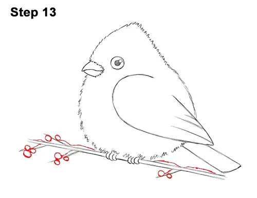 How to Draw Cute Little Cartoon Red Cardinal Snow Berries 13