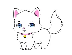 How to Draw a Cat Kitten Kitty (Cartoon)