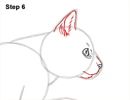 How to Draw a Cat Jumping Leaping Side View 6