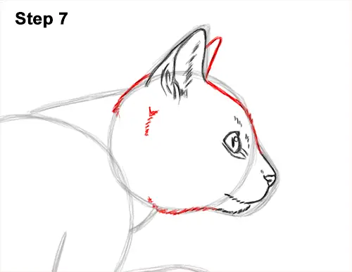 How to Draw a Cat Jumping Leaping Side View 7