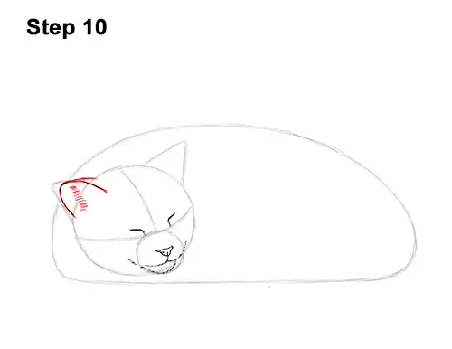 How to Draw a Cat Sleeping VIDEO & Step-by-Step Pictures