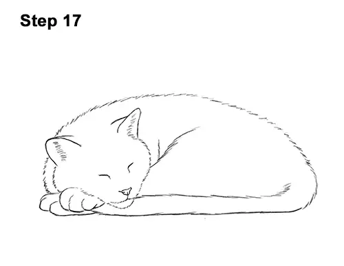 cat sleeping drawing easy