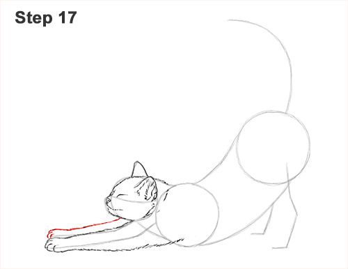How to Draw a Cat (Stretching)