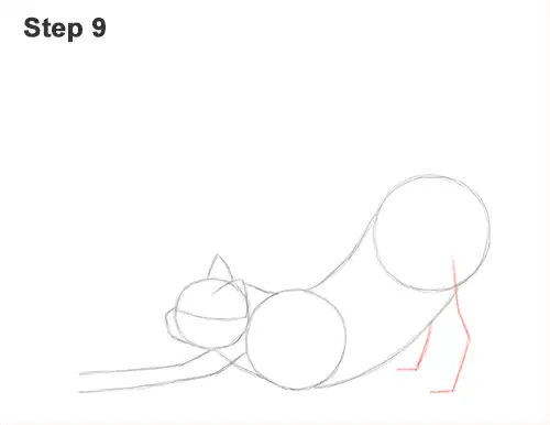 How to Draw a Cat (Stretching)