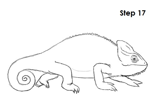 How to Draw a Chameleon