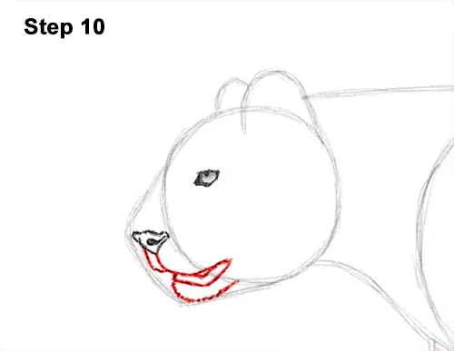 Draw Cheetah Running 10