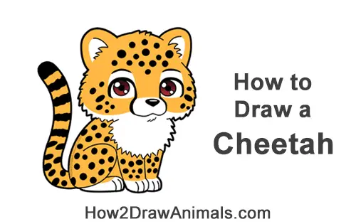 How to Draw a Cheetah (Cartoon) VIDEO & Step-by-Step Pictures