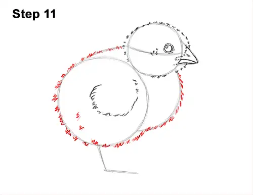 How to Draw Cute Baby Chick Chicken Hen 11