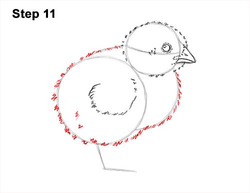 how to draw a baby chicken
