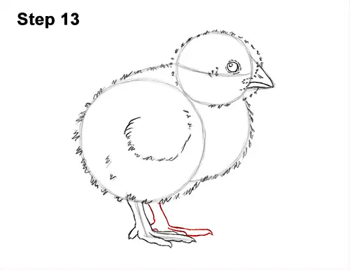 How to Draw Cute Baby Chick Chicken Hen 13