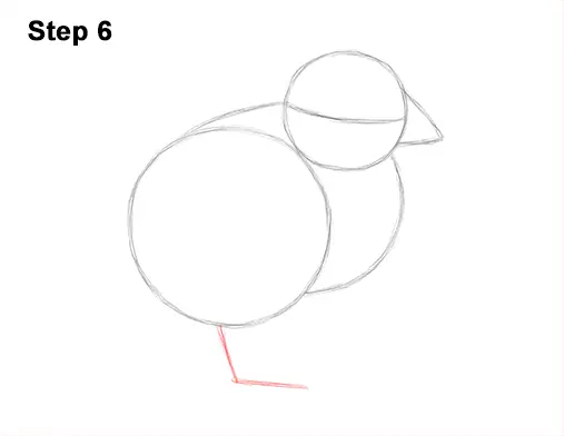 How to Draw Cute Baby Chick Chicken Hen 6
