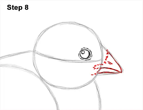 How to Draw Cute Baby Chick Chicken Hen 8