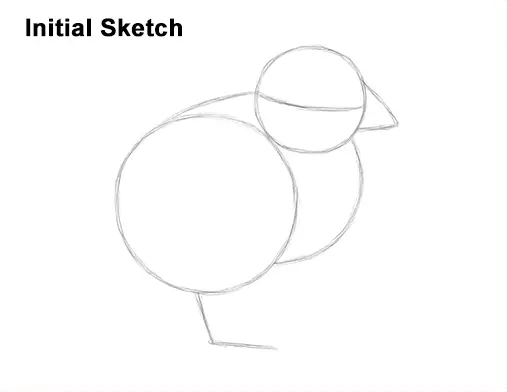 How to Draw Cute Baby Chick Chicken Hen Guide Lines
