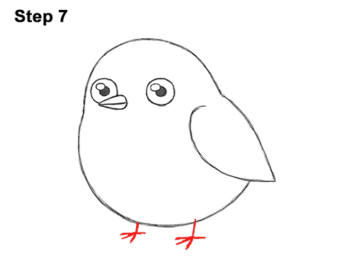 How to Draw a Chickadee Bird (Cartoon)