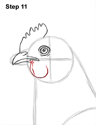 How to Draw a Chicken Hen Bird 11