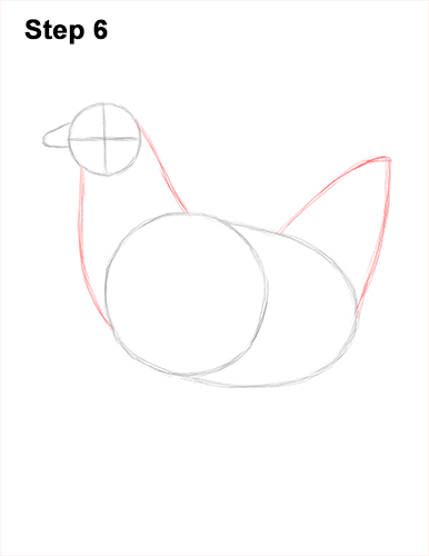 How to Draw a Chicken Hen Bird 6