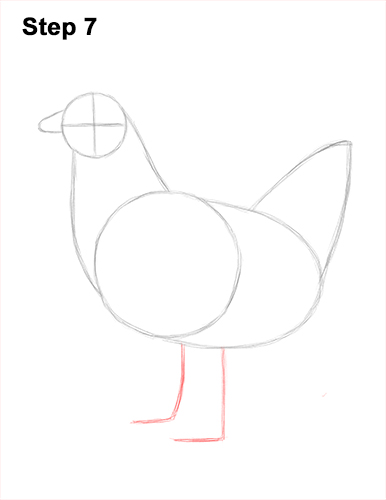 How to Draw a Chicken Hen Bird 7