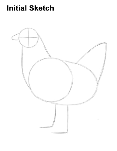How to Draw a Chicken Hen Bird Initial Sketch