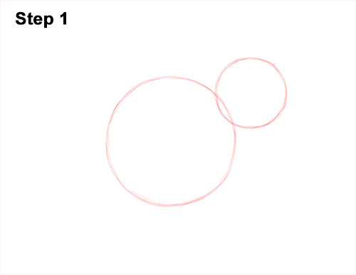 How to Draw a Chipmunk 1