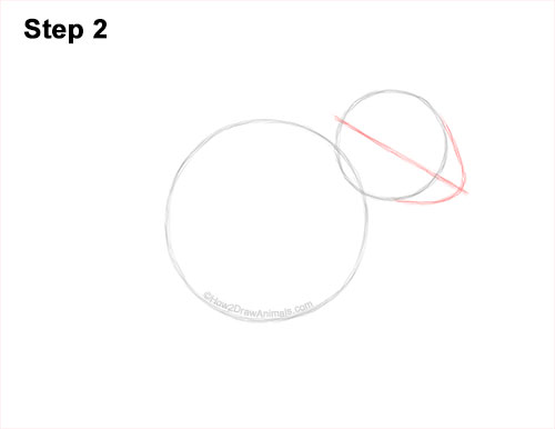 How to Draw a Chipmunk 2