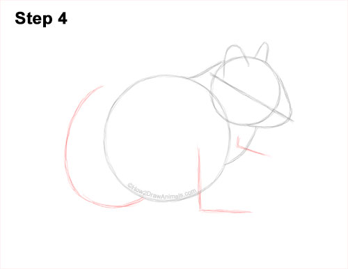 How to Draw a Chipmunk 4