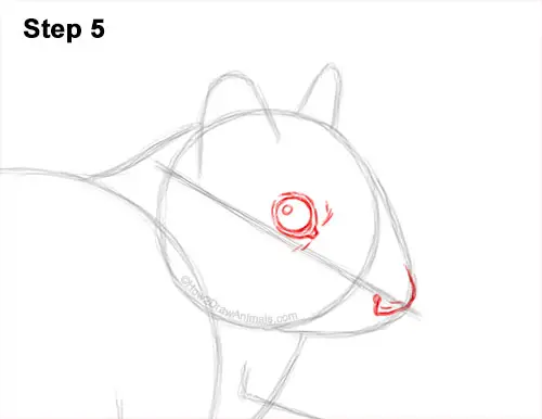 How to Draw a Chipmunk 5